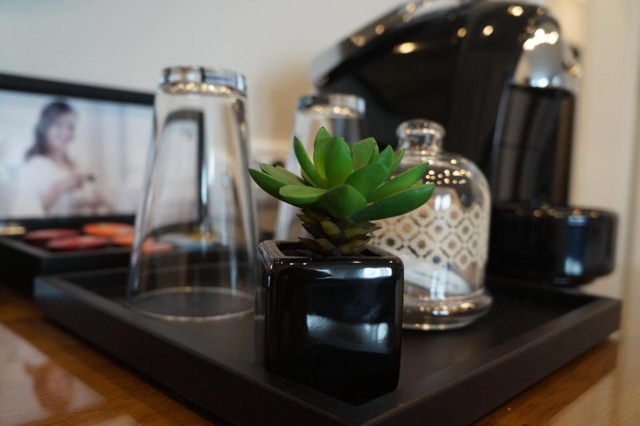 Hotel Residence Promenade Burgas Zewnętrze zdjęcie A succulent plant in a hotel room